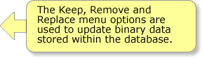 Image Update Note - The Keep, Remove and  Replace menu options are used to update binary data stored within the database.