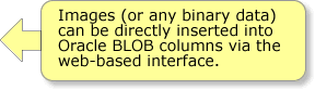 insert image note - Images (or any binary data) may be directly inserted into Oracle BLOB columns via the web-based interface.