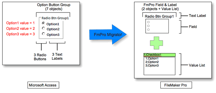 acOptionButton/Checkbox Group Conversion to FileMaker Pro