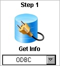 Step 1 - ODBC Icon