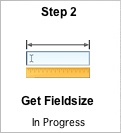 Step 2 - Get Fieldsize Button