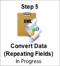 Step 5 - Convert Data - Repeating Fields  Button