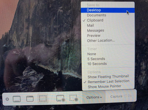 Screenshot Toolbar - Screenshot in Progress - Options Selection